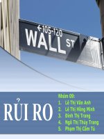 Thuyết trình tài chính doanh nghiệp: Rủi ro