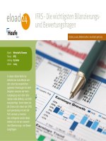ifrs - die wichtigsten bilanzierungs- und bewertungsfragen (2009)