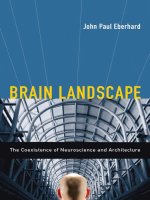 brain landscape the coexistence of neuroscience and architecture dec 2008