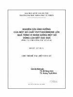 nghiên cứu ảnh hưởng của một sô chất phytohormone lên qua trình vi nhân giông một số dòng lúa bất dục đực (phục vụ cho công tác lúa lai)