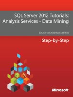 analysis services data mining _ môn data mining