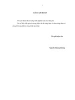 Nghiên cứu IMS và ứng dụng cung cấp các dịch vụ băng rộng cho mạng viễn thông cua VNPT