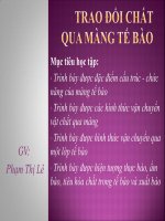 Bài giảng trao đổi chất qua màng tế bào   GV  phạm thị lê