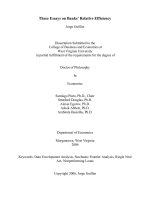 Three essays on banks' relative efficiency