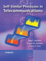 self-similar processes in telecommunications