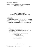 Tiểu luận nghiệp vụ ngân hàng thương mại: Sản phẩm cho vay dự án tiết kiệm và hiệu quả năng lượng cho các doanh nghiệp vừa và nhỏ của Vietinbank