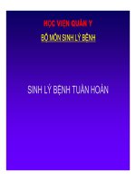 Bài giảng sinh lý bệnh tuần hoàn   HV quân y