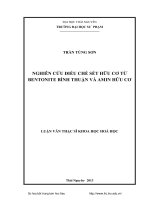 Nghiên cứu điều chế sét hữu cơ từ Bentonite Bình Thuận và amin hữu cơ