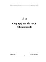đồ án công nghệ hóa dầu và cb polycaproamide