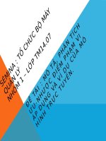 Mô tả phân tích ưu nhược điểm phạm vi áp dụng và ví dụ của mô hình trực tuyến