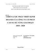 Tiểu luận: Chiến lược phát triển kinh doanh của Công ty cổ phần cao su Đà Nẵng DRC giai đoạn 2010  2020