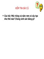 đặc điểm sinh học của nấm