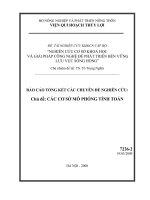 Nghiên cứu cơ sở khoa học và giải pháp công nghệ để phát triển bền vững lưu vực sông Hồng - các cơ sở mô phỏng tính toán