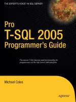 pro t-sql 2005 programmer’s guide