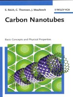 carbon nanotubes. basic concepts and physical properties, 2004, p.220