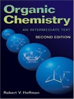 organic chemistry an intermediate text