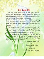 xây dựng website cho chi nhánh công ty tnhh d.h granite & marble tại huế