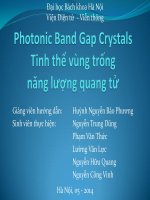 Photonic band gap crystals