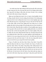 xây dựng chiến lược kinh doanh công ty lâm sản nam định 2015 - 2017