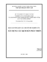 Nghiên cứu cơ sở khoa học và giải pháp công nghệ để phát triển bền vững lưu vực sông hồng   xây dựng các kịch bản phát triển