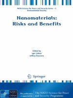 nanomaterials. risks and benefits, 2009, p.454