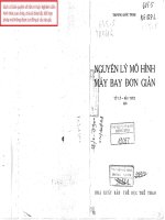 Nguyên lí may bay mô hình