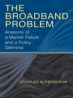 the broadband problem anatomy of a market failure and a policy dilemma