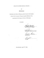 essays in international finance