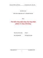 tiểu luận môn công nghệ hóa dầu và chế biến polime