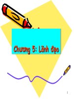 Bài giảng Chương 5: Lãnh đạo