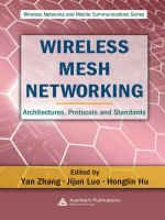 wireless mesh networking architectures, protocols and standards