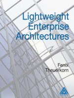 lightweight enterprise architectures
