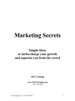 Marketing Secrets to successful marketing