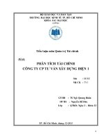 Tiểu luận: Phân tích tài chính công ty cổ phần tư vấn xây dựng điện 1