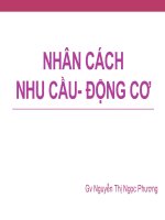 Bài giảng nhân cách nhu cầu   động cơ   GV  nguyễn thị ngọc phương