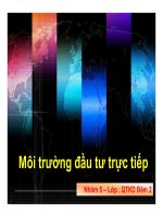 Thuyết trình: Môi trường đầu tư trực tiếps