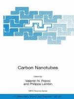 carbon nanotubes. from basic research to nanotechnology, 2006, p.270