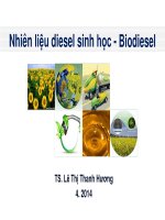 NHIÊN LIỆU SINH HỌC BIODIESEL