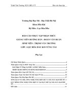 báo cáo thực tập thăm quan công ty DMC vũng tàu