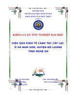 hiệu quả kinh tế canh tác lạc ở xã nam sơn, huyện đô lương, tỉnh nghệ an