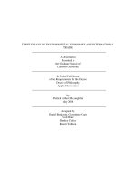 Three essays on environmental economics and international trade