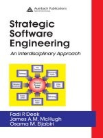 strategic software engineering an interdisciplinary approach