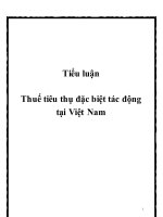 Tiểu luận: Thuế tiêu thụ đặc biệt tác động tại Việt Nam