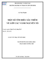 một số tìm hiểu sâu thêm về lớp các vành nguyên tố