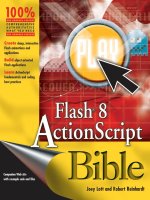 flash 8 actionscript bible