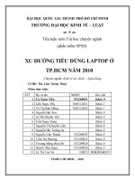 Xu hướng tiêu dùng laptop ở TP HCM năm 2010