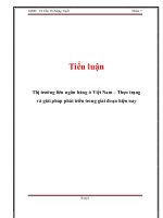 Tiểu luận: Thị trường liên ngân hàng ở Việt Nam Thực trạng và giải pháp phát triển trong giai đoạn hiện nay