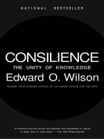 consilience the unity of knowledge edward o. wilson