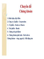 Bài giảng Thị trường chứng khoán: Chuyên đề chứng khoán