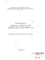 phương pháp đại số trong giải tích đại số hiện đại
